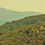 Assos Kartal Yuvasi Sazlı
