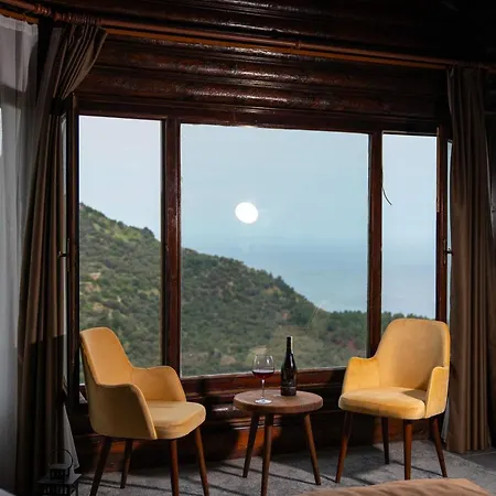 Assos Kartal Yuvasi Guest house 3*