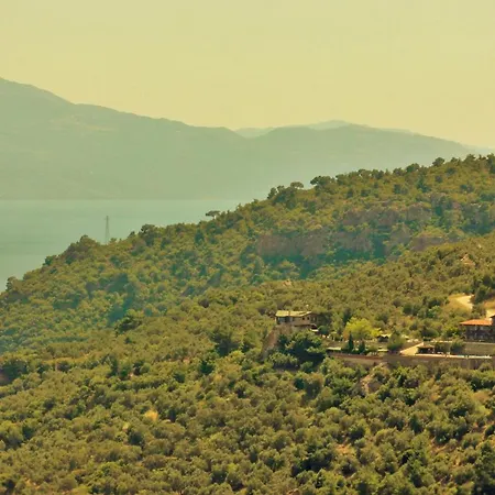 Assos Kartal Yuvasi Sazli