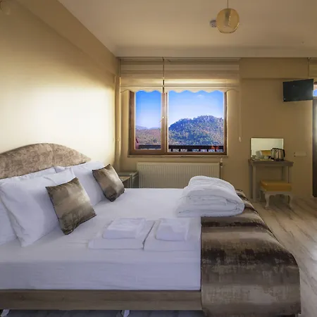 Assos Kartal Yuvasi 4* Sazlı