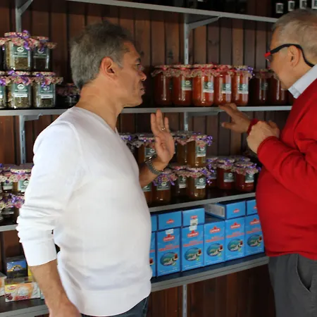 Assos Kartal Yuvasi Sazlı